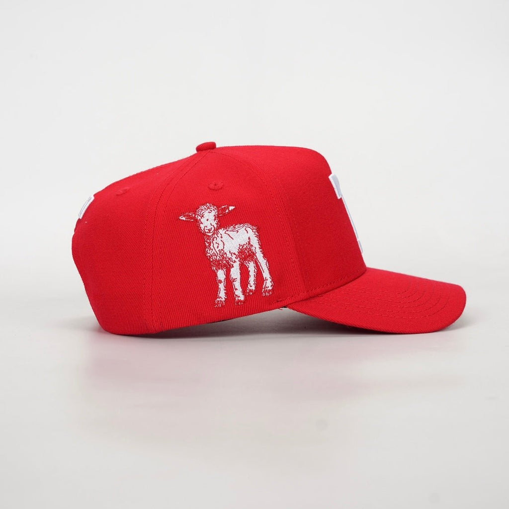 7 Premium Wool Blend SnapBack - Red/White