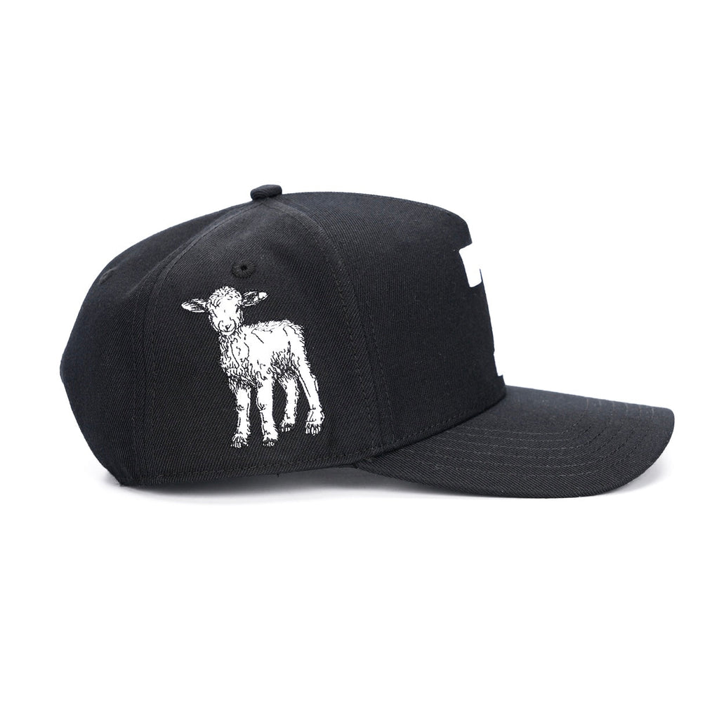 7 Premium Wool Blend SnapBack - Black/White
